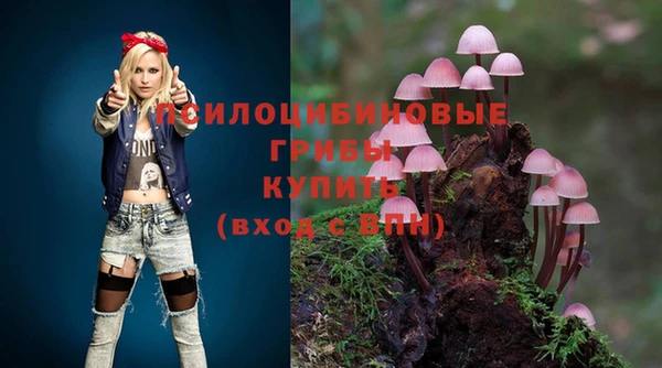 СК Абаза